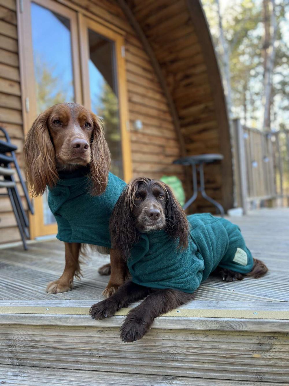 Glenlivet Wigwam Dog Friendly