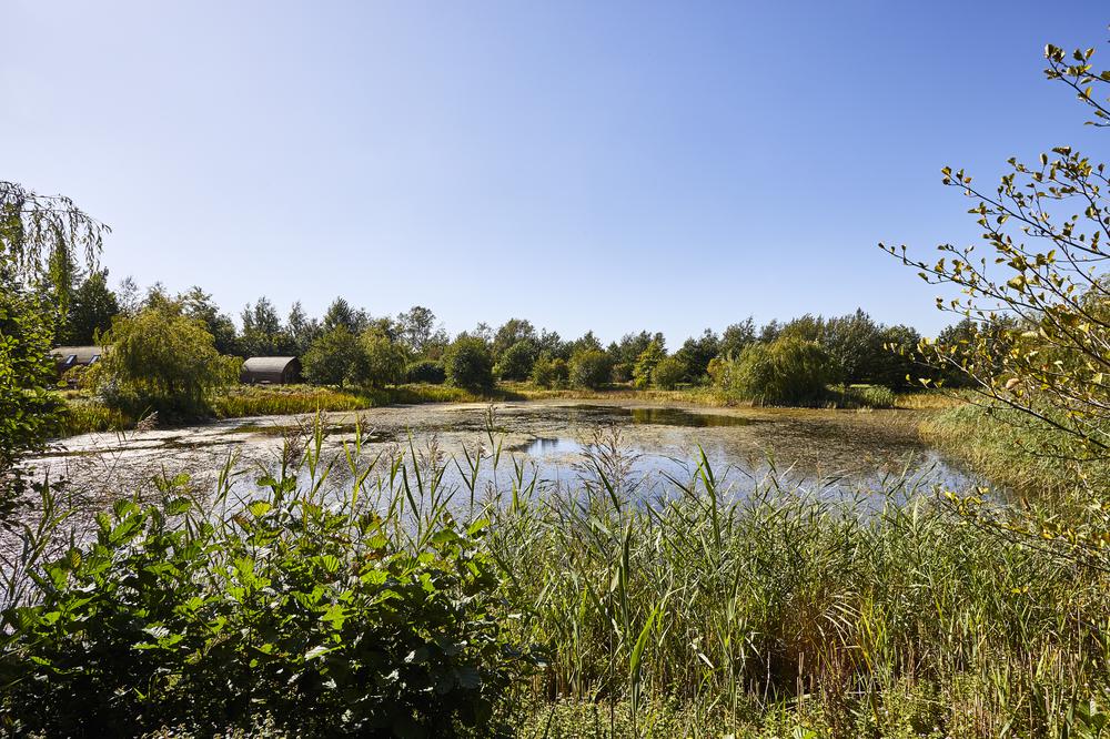 Ball Hall Farm Site Events