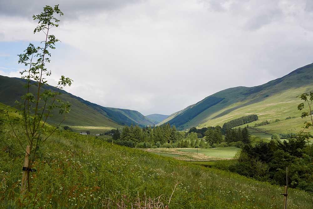 Moffat Views